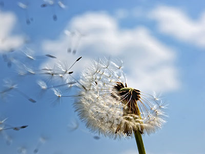 【哥白】亚洲w码与欧洲w码差异解析-亚洲w码与欧洲w码差异解析午夜精品版v专业酷奇版6.15.7