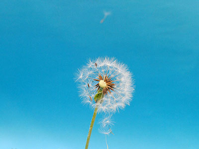 【哥白】亚洲w码与欧洲w码差异解析-亚洲w码与欧洲w码差异解析午夜精品版v专业酷奇版6.15.7